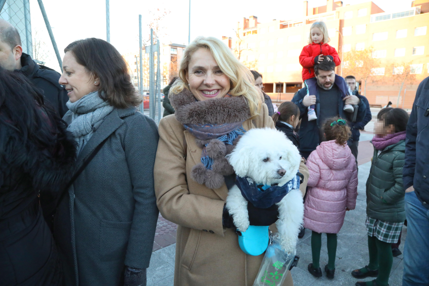 Fiesta de San Antón 2025, bendición de animales