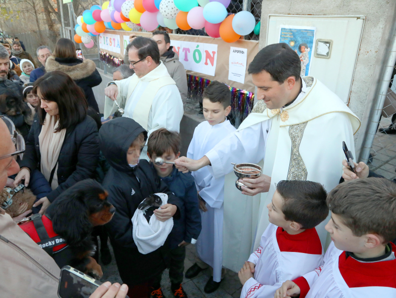Fiesta de San Antón 2025, bendición de animales