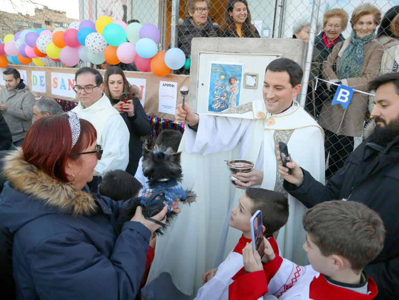 Fiesta de San Antón 2025, bendición de animales