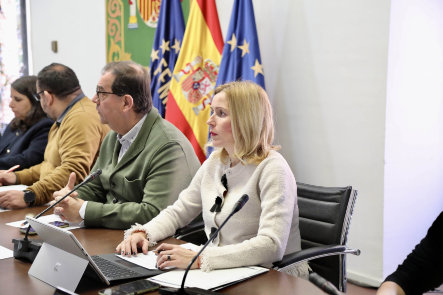 Comisión de Inclusión Social y Migraciones de La FEMP, alcaldesa en mesa de trabajo
