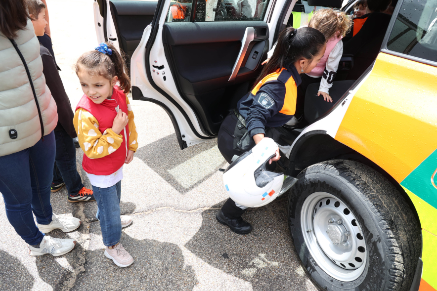 Fiesta de la Primavera 2025, actividades