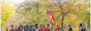 Imagen Cross Contitución24