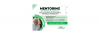 Mentoring empresarial